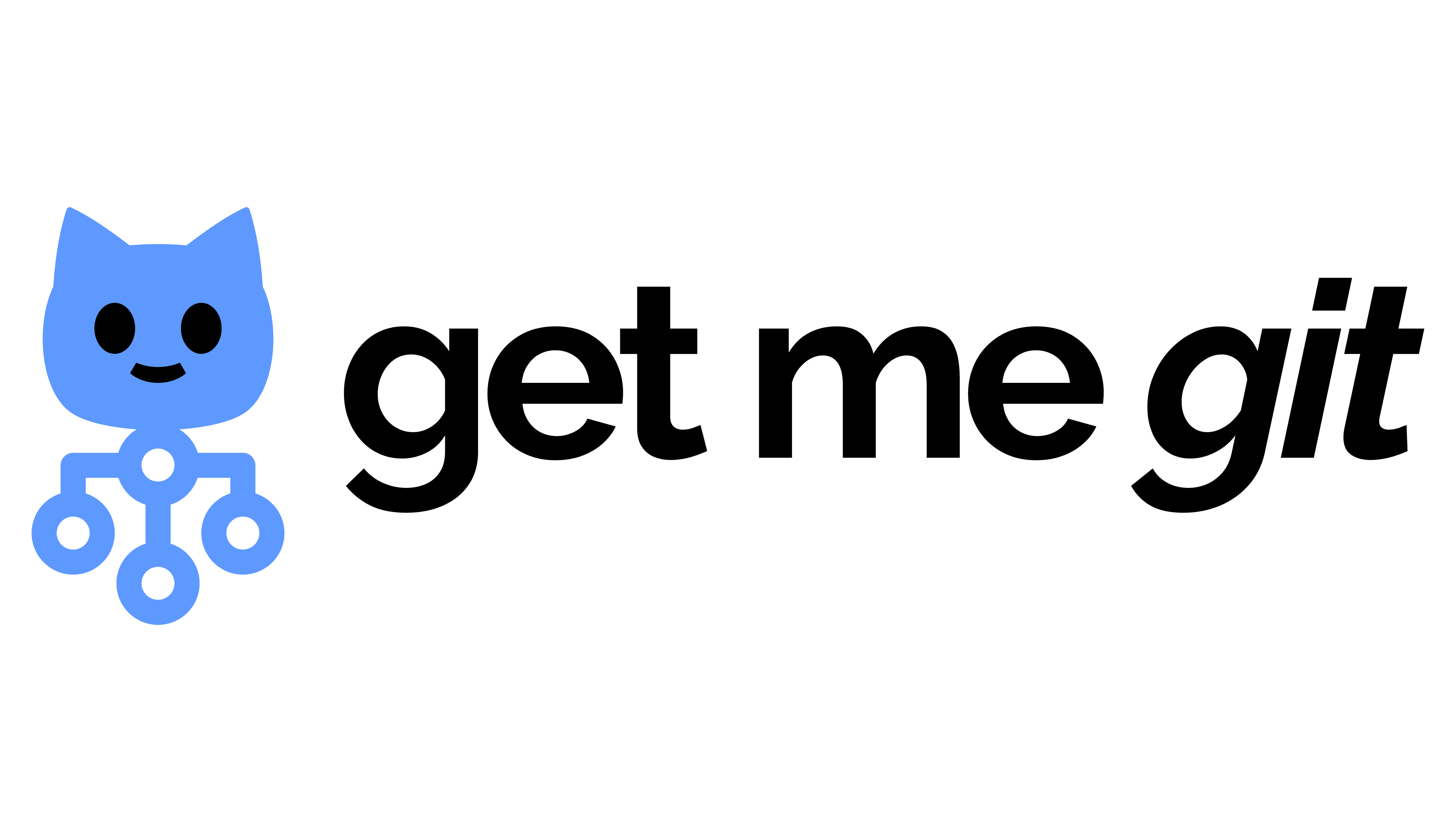 Partner 11